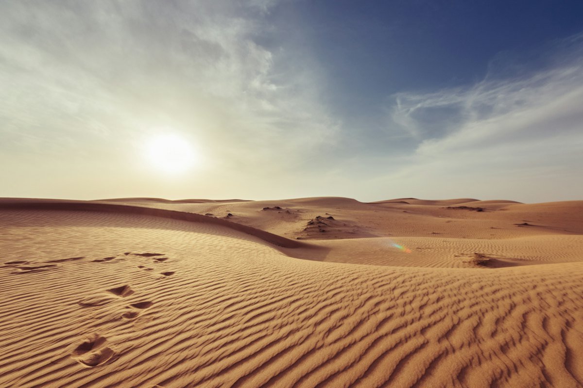 White Rann